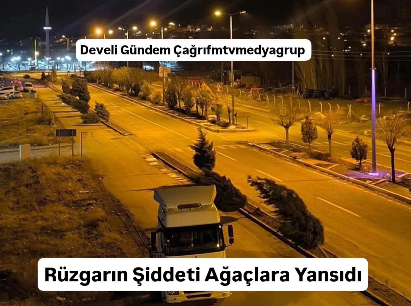 Şiddetli Rüzgâr Ağaçları Devirdi