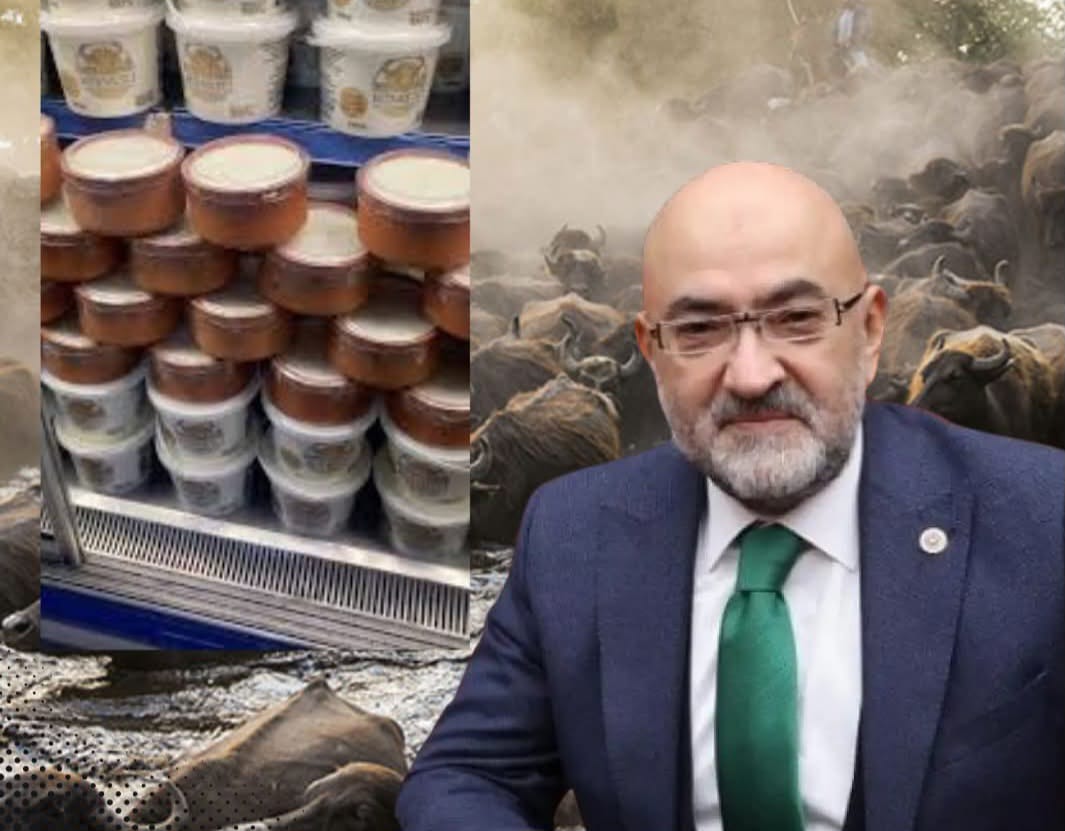 CAHİD CINGI MANDA YETİŞTİRİCİLİĞİNİ GELİŞTİRMEKTE KARARLI