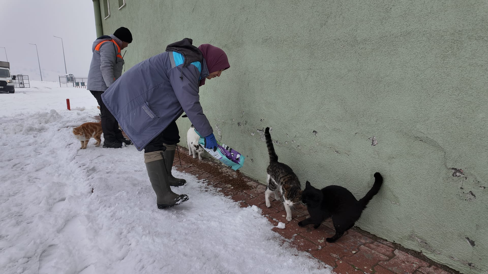 BÜYÜKŞEHİR’DEN “DİLSİZ DOSTLARA” MERHAMET ELİ: SOĞUK GÜNLERDE SICAK BİR DOKUNUŞ