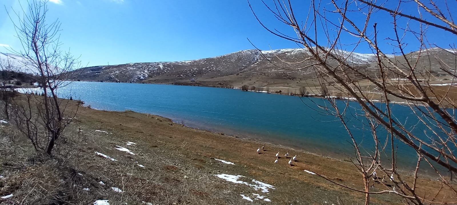 DEVELİ VE SEYHAN HAVZASINDA BARAJLARDAKİ  DOLULUK ORANI